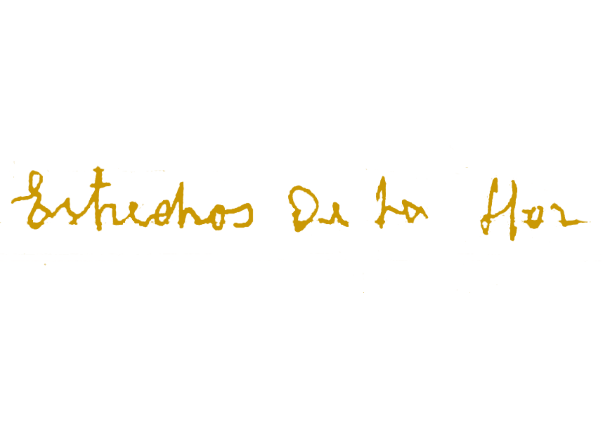 FIRMA